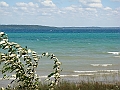 Western Michigan [2010] 556